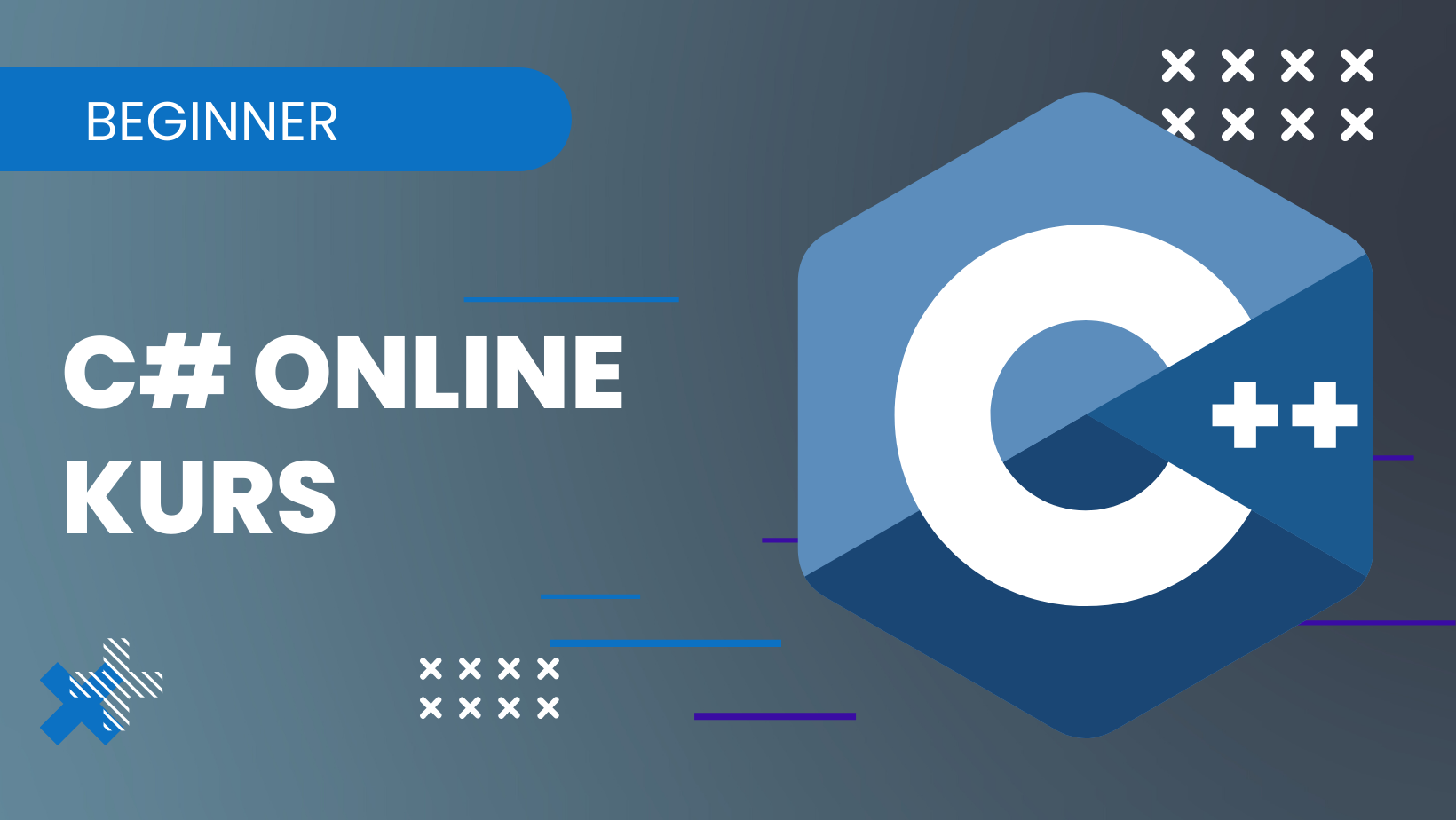 C# Online-Kurs