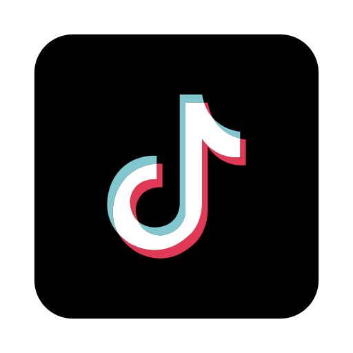 Tiktok Seminar - Intensiv-Schulung